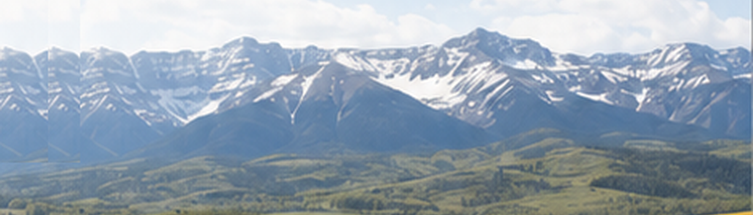 An Alberta ranch landscape with grazing cattle, a golden canola field, and the snow-capped Rocky Mountains beneath a bright prairie sky.