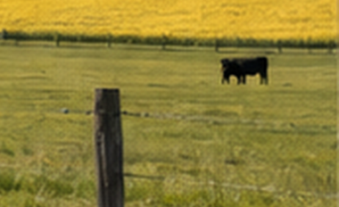 Fence post and wire fence overlooking open rural fields.